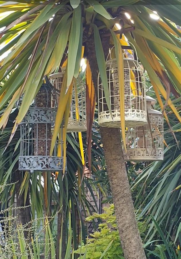 Tropical Garden Oasis Rooms Birmingham Exterior foto