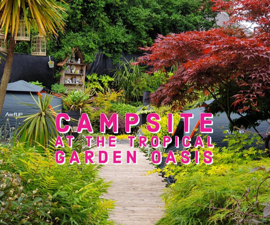 Tropical Garden Oasis Rooms Birmingham Zimmer foto